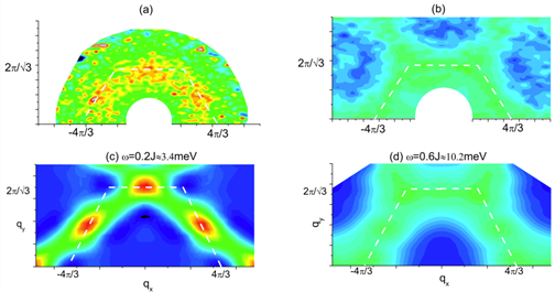 图例:自旋液体材料Herbertsmithite非弹性中子散射谱与kagome Heisenberg自旋系统动力学结构因子数值结果的比较